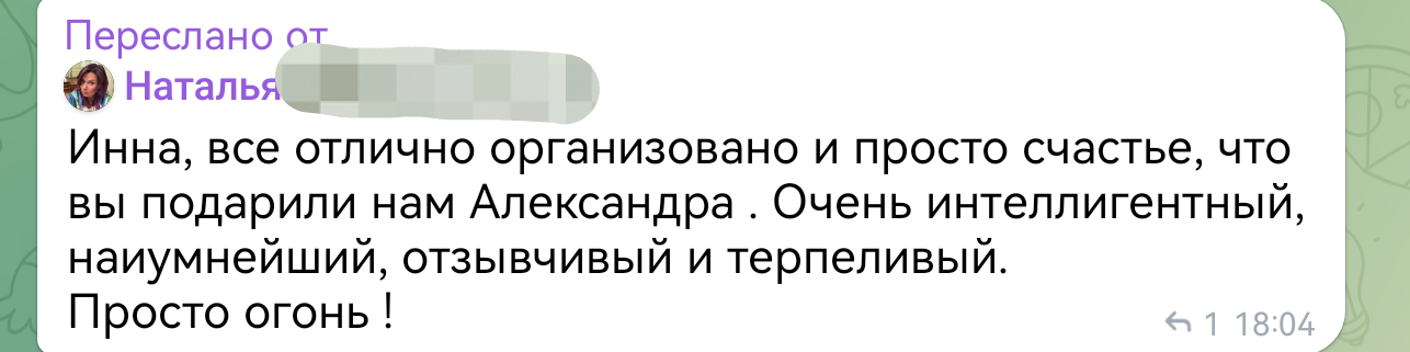 Отзыв о работе гида